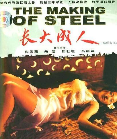 长大成人（1997年路学长执导的电影）