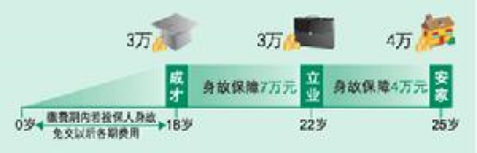 中国人寿英才少儿两全保险