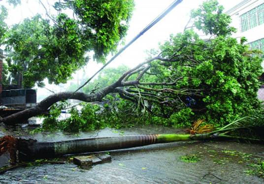 10.5湛江台风事件
