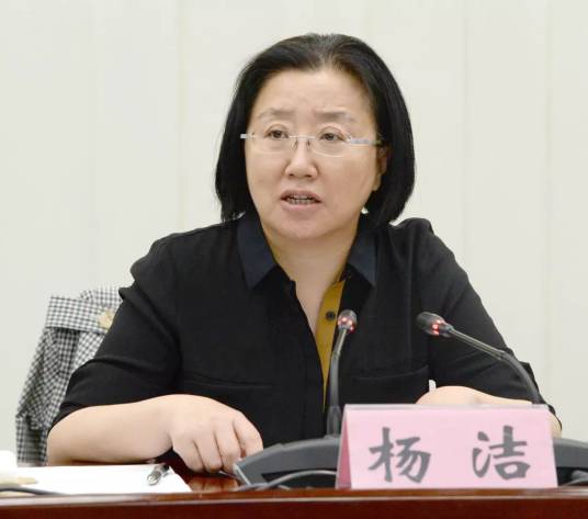 杨洁（河北省唐山市人大常委会党组书记、主任）