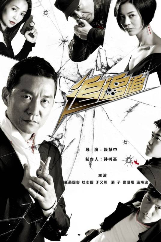 追追追（2011年赵燕国彰主演电视剧）