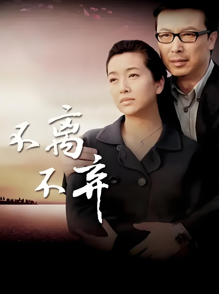 不离不弃（2009年刘娟执导的家庭情感电剧）