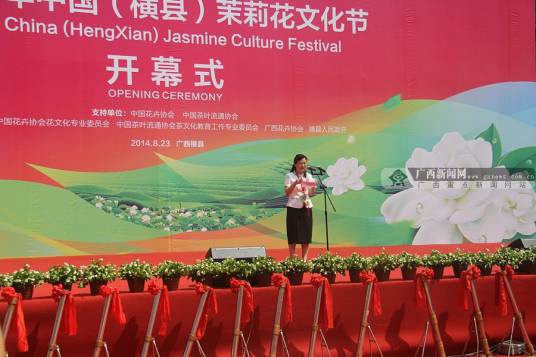 广西横县茉莉花节