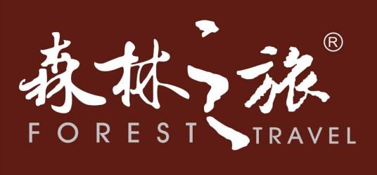 森林之旅