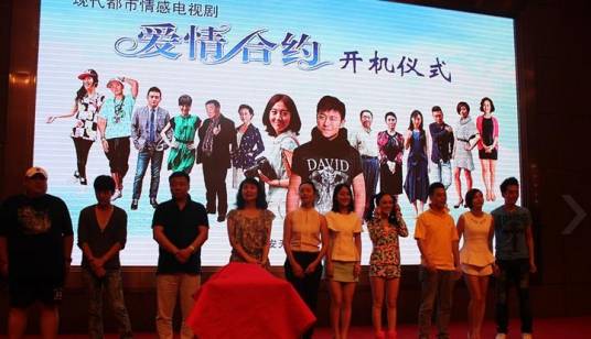 爱情合约（2015年林申、高露主演电视剧）