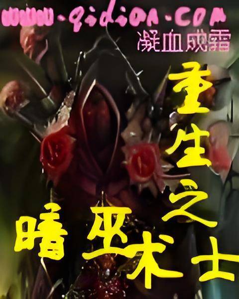 重生之暗巫术士