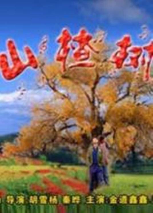 山楂树（2004年胡雪杨、秦晔执导的剧情电影）