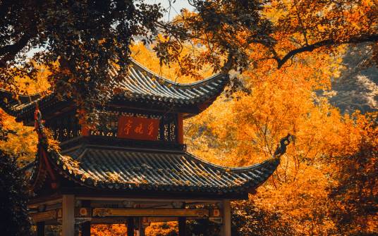 爱晚亭（谢冰莹散文作品）