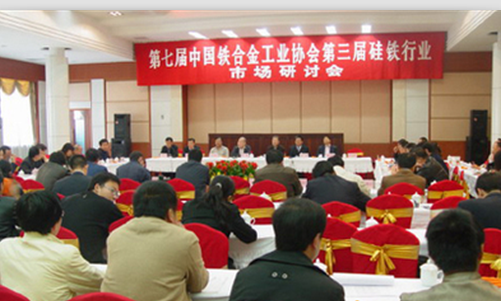 中国铁合金工业协会