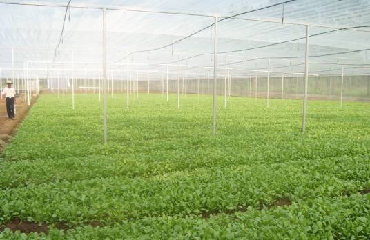 生态农业技术（有关生态农业的各种方法与技能）