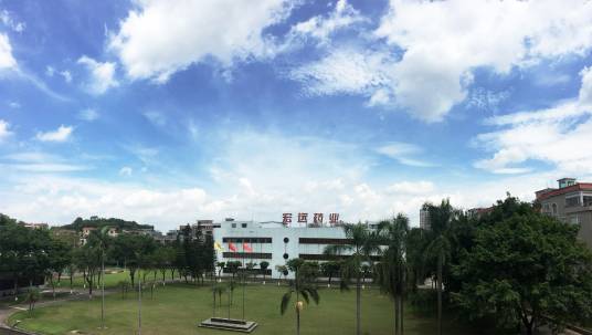 广东宏远集团药业有限公司