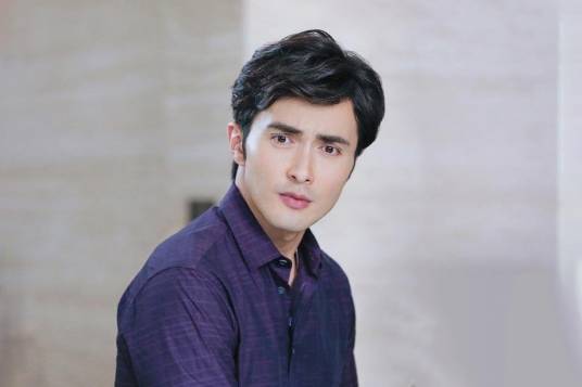 高家明（电视剧《亲爱的翻译官》男配角）