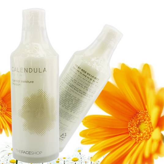 菲诗小铺金盏花