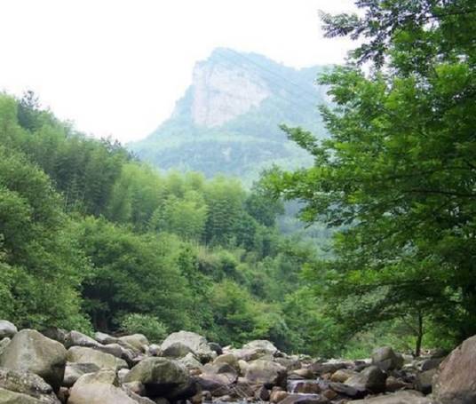 狮子谷森林公园