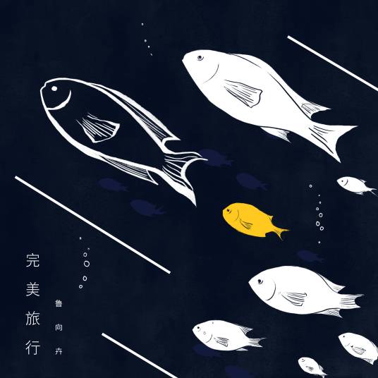 完美旅行（歌手鲁向卉演唱歌曲）