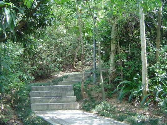 梅林公园（广东省深圳市境内公园）