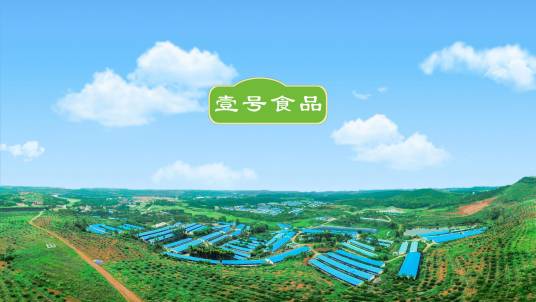 广东壹号食品股份有限公司