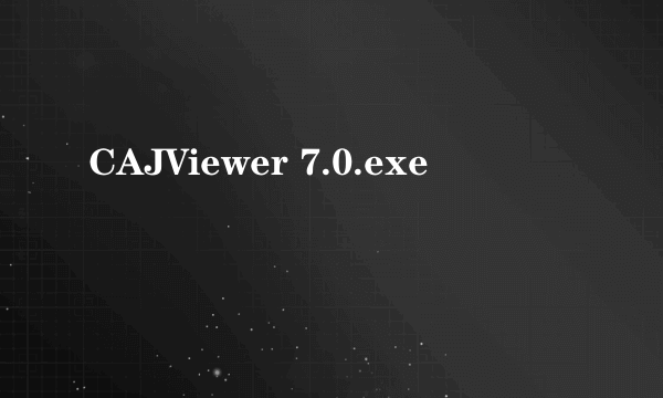 CAJViewer 7.0.exe
