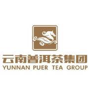 云南普洱茶集团