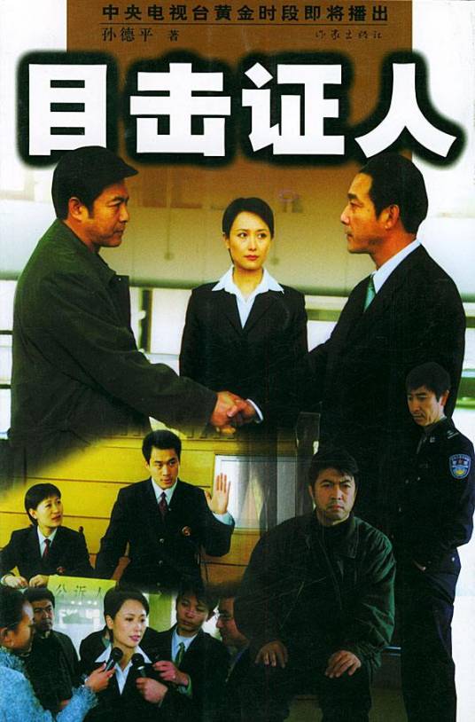 目击证人（2003年赵为恒执导的电视剧）