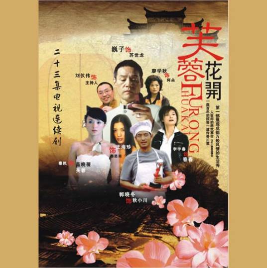 芙蓉花开（206年罗雷执导的电视剧）