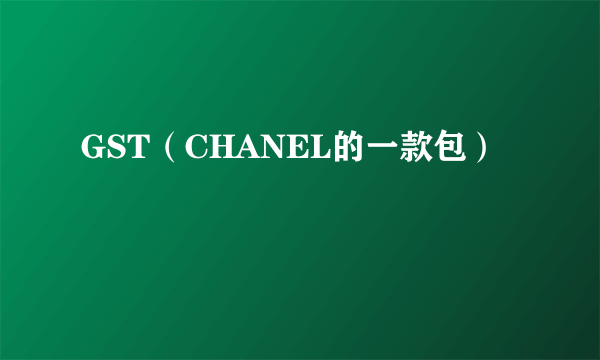 GST（CHANEL的一款包）
