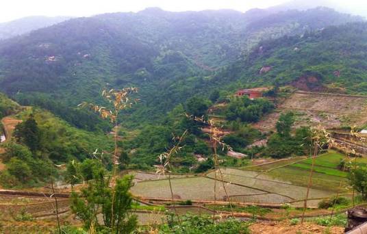 三角山（湖北省国家4A级旅游景区）