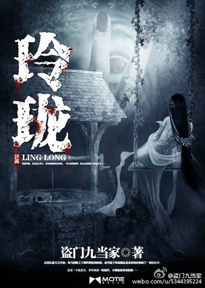 玲珑（盗门九当家创作的悬疑类网络小说）