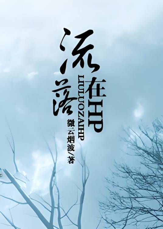 流落在HP