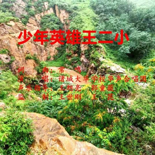 少年英雄王二小（少年英雄王二小（歌曲））