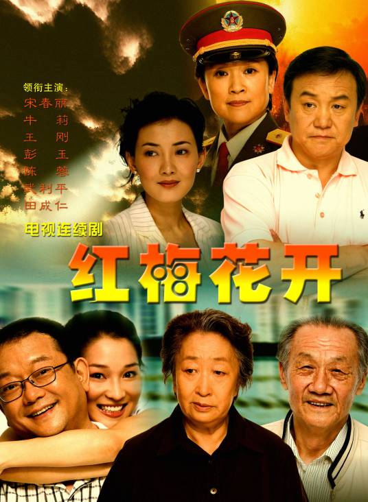 红梅花开（2008年余丁执导的电视剧）