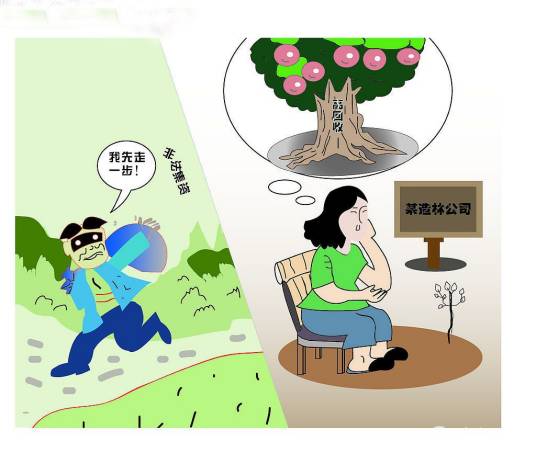 江苏泗洪集资案