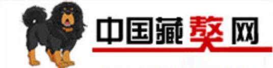 中国藏獒网