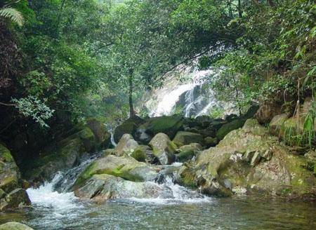 福建平潭海岛国家森林公园