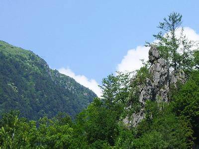 陕西紫柏山国家级自然保护区