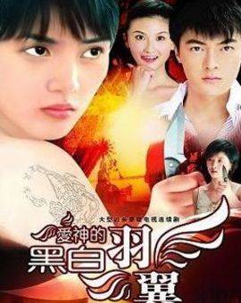 爱神的黑白羽翼（2008年吴大健执导的甜虐爱情剧）