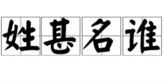 姓甚名谁