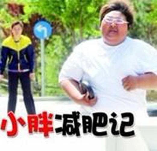 小胖减肥记