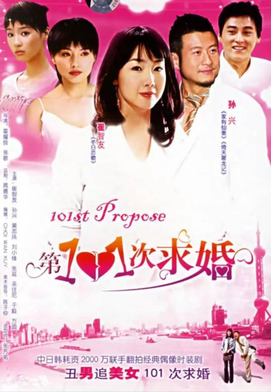 第101次求婚（2004年崔智友、孙兴主演的电视剧）