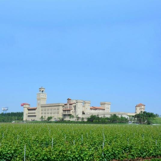 张裕瑞那城堡酒庄