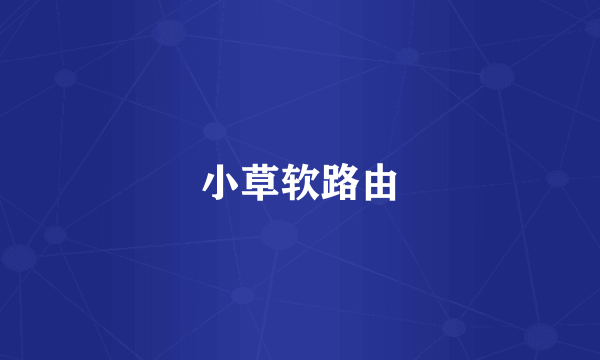 小草软路由