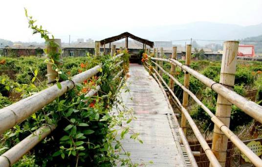 白沙湾生态农庄