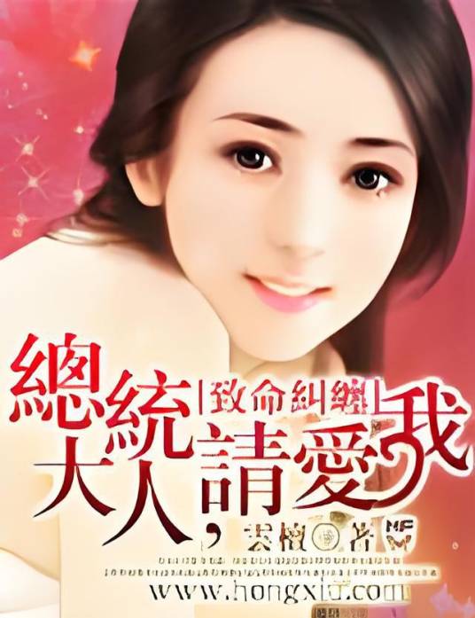 总统大人，请爱我