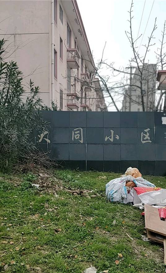 大同小区（黄浦）