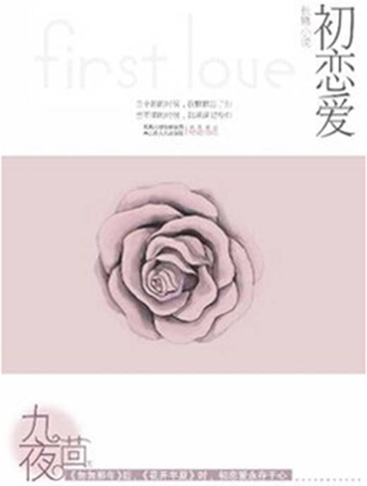 初恋爱（2009年江苏人民出版社出版的图书）