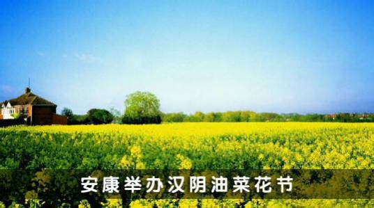 汉阴油菜花节