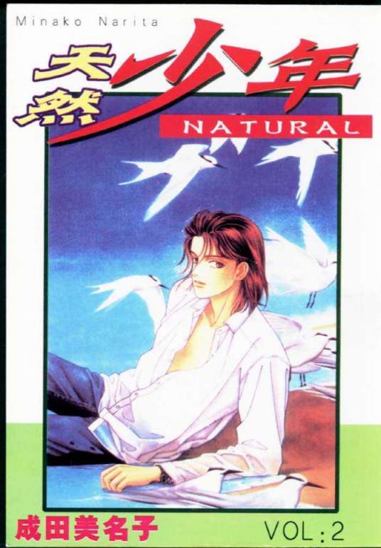 天然少年（日本漫画家成田美名子的作品）