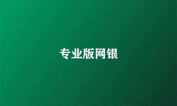 专业版网银
