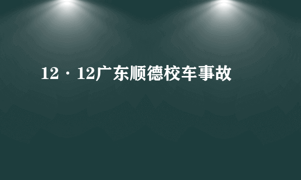 12·12广东顺德校车事故