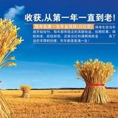 美满一生年金保险